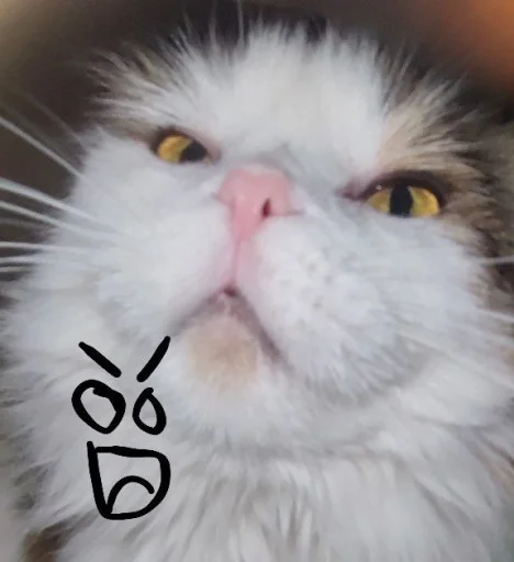 Sticker s0976ce1407b7599f9b3b16232a87461b_by_sozdat_stikery_bot - 1