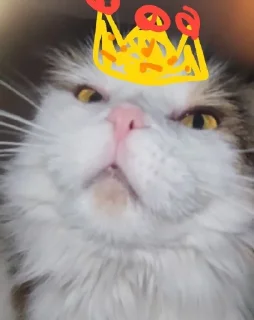 Стикер я хочу спать @sozdat_stikery_bot - 4