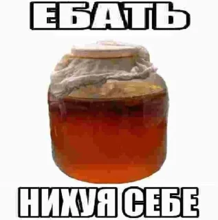 Стикер лошки @sozdat_stikery_bot - 6