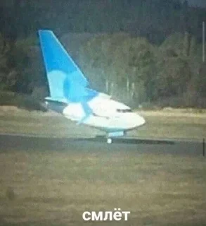 Стикер лошки @sozdat_stikery_bot - 8