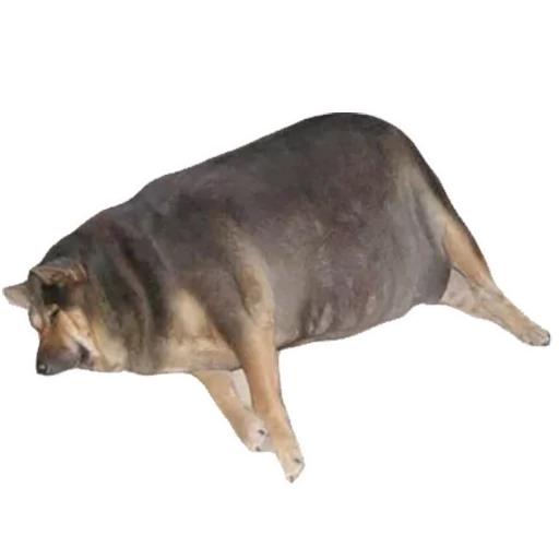 Favorite Sticker by @fStikBot - human face