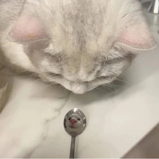 @StickerEdit_bot :: @StickerEdit - 