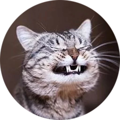 Sticker s138839818_by_fStikBot - 1