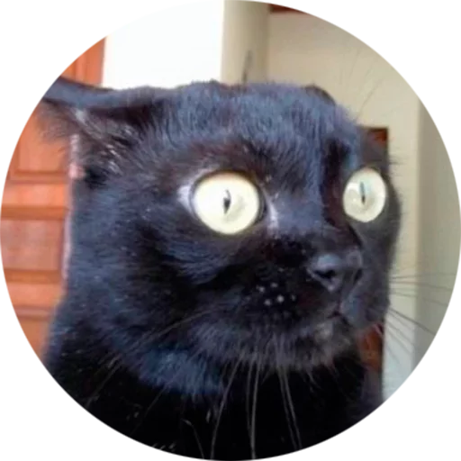 Стикер s138839818_by_fStikBot - 1