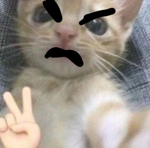 КЛАН КОТИКОВ @sozdat_stikery_bot - 