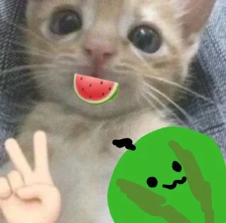 Sticker КЛАН КОТИКОВ @sozdat_stikery_bot - 3