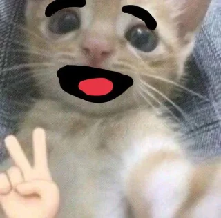 Sticker КЛАН КОТИКОВ @sozdat_stikery_bot - 0