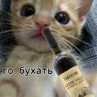 Sticker КЛАН КОТИКОВ @sozdat_stikery_bot - 10