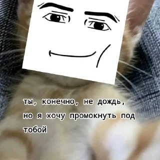 Sticker КЛАН КОТИКОВ @sozdat_stikery_bot - 11