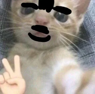 Sticker КЛАН КОТИКОВ @sozdat_stikery_bot - 7