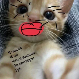 Sticker КЛАН КОТИКОВ @sozdat_stikery_bot - 5