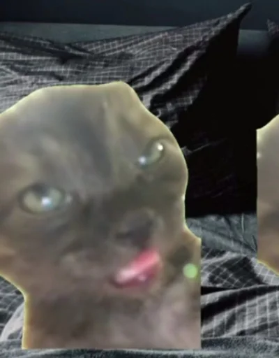 Стикер s1c5818c23e535d5baa2d9fa0dacb9701_by_sozdat_stikery_bot - 1