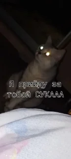 Sticker Тригонде @sozdat_stikery_bot - 3