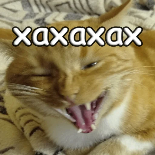 Sticker s1sipopa - 1