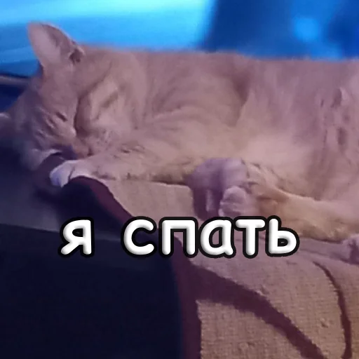 Стикер s1sipopa - 1