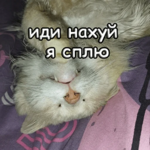 Стикер s1sipopa - 1