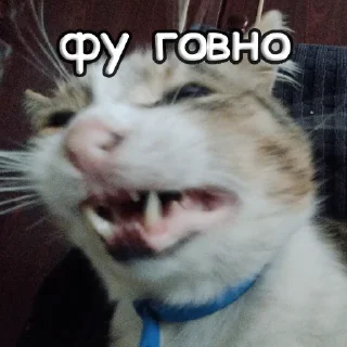 Sticker пушистые чмоники :D - 4