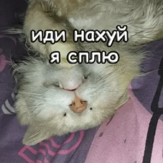 Sticker пушистые чмоники :D - 3