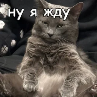 Sticker пушистые чмоники :D - 10