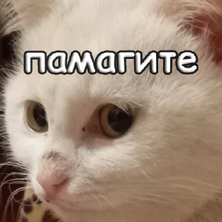 Sticker пушистые чмоники :D - 6