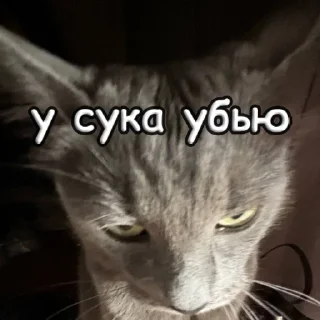 Sticker пушистые чмоники :D - 0