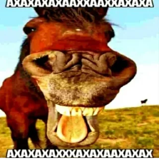 Стикер @StickerEdit_bot :: @StickerEdit - 6