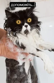 Стикер Tummax @sozdat_stikery_bot - 2