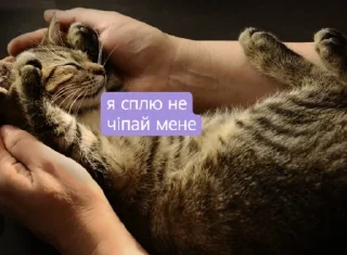 Стикер Tummax @sozdat_stikery_bot - 6