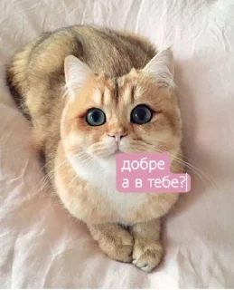 Стикер Tummax @sozdat_stikery_bot - 10