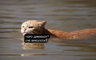 Стикер Tummax @sozdat_stikery_bot - 11