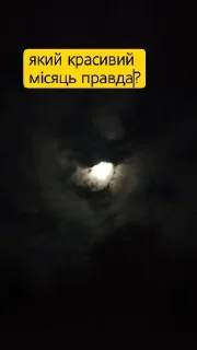 Стикер Tummax @sozdat_stikery_bot - 4