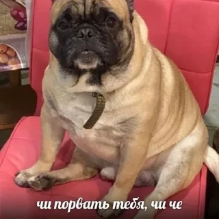 Sticker @StickerEdit_bot :: @StickerEdit - 6