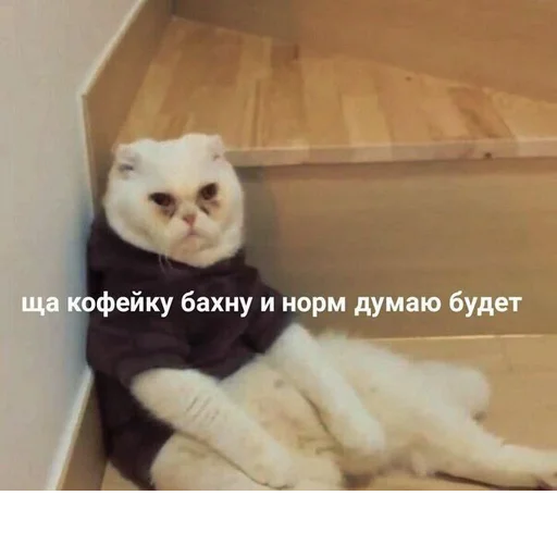 Стикер @StickerEdit_bot :: @StickerEdit - 11