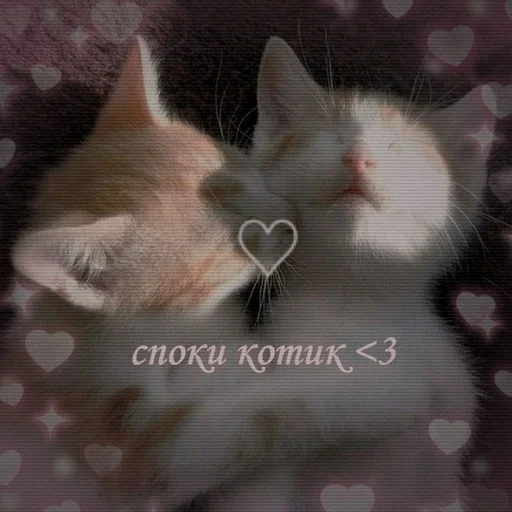 Стикер @StickerEdit_bot :: @StickerEdit - 10