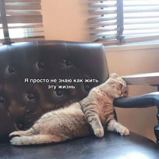 Стикер @StickerEdit_bot :: @StickerEdit - 9