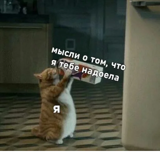 Стикер @StickerEdit_bot :: @StickerEdit - 7