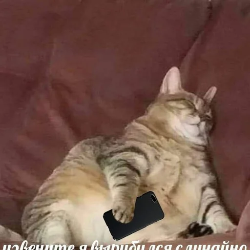 Стикер @StickerEdit_bot :: @StickerEdit - 6