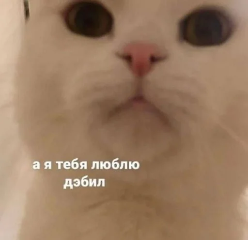 Стикер @StickerEdit_bot :: @StickerEdit - 4