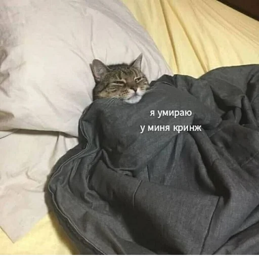 Стикер @StickerEdit_bot :: @StickerEdit - 3