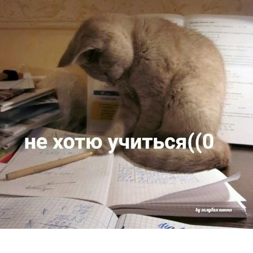 Стикер @StickerEdit_bot :: @StickerEdit - 2