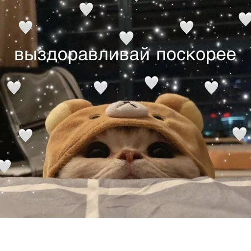 Стикер @StickerEdit_bot :: @StickerEdit - 1