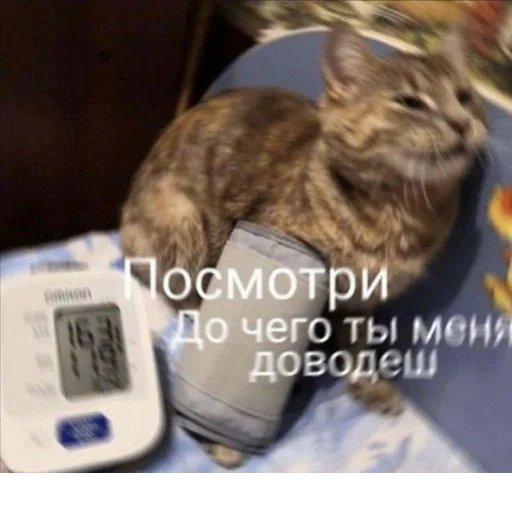 Стикер @StickerEdit_bot :: @StickerEdit - 0