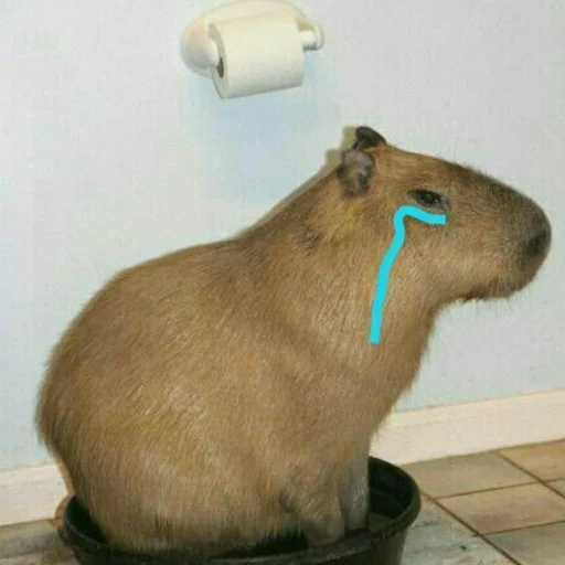 Создано в @StickerEdit_bot - 