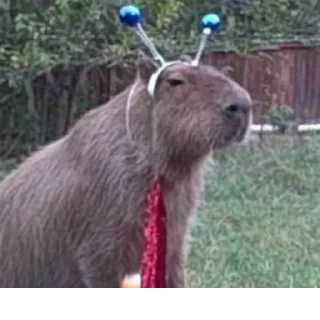 Sticker Создано в @StickerEdit_bot - 7