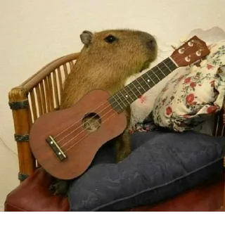 Sticker Создано в @StickerEdit_bot - 9