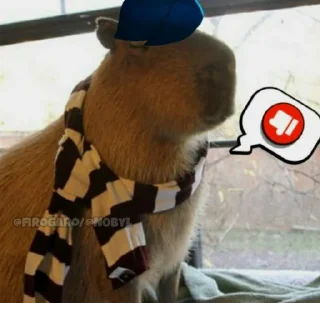 Sticker Создано в @StickerEdit_bot - 6