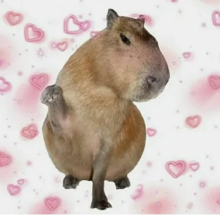 Sticker Создано в @StickerEdit_bot - 2