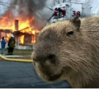 Sticker Создано в @StickerEdit_bot - 8