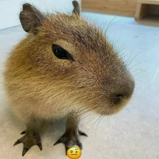 Sticker Создано в @StickerEdit_bot - 10