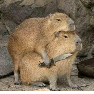 Sticker Создано в @StickerEdit_bot - 11